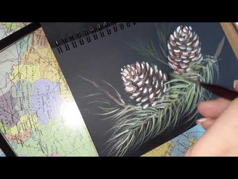 Видео: Как нарисовать шишки на ёлочной ветке. Скоро Рождество и Новый год.