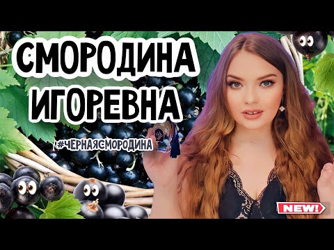 Видео: ЛУЧШИЕ АРОМАТЫ С НОТОЙ ЧЁРНОЙ СМОРОДИНЫ | ФРУКТОВЫЕ СТОЙКИЕ ШЛЕЙФОВЫЕ АРОМАТЫ ДЛЯ ЖЕНЩИН НА ЛЕТО