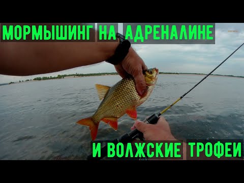 Видео: мормышинг и волжские трофеи!
