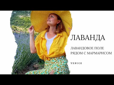 Видео: Где цветет лаванда в Мармарисе. Лавандовое поле.