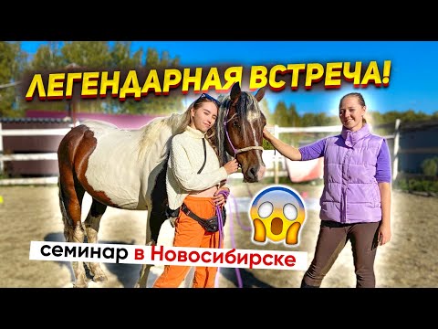 Видео: VLOG Встреча двух коноблогеров! ОБЗОР конных клубов