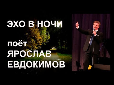 Видео: Ярослав Евдокимов - Эхо в ночи