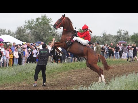 Видео: Угольное .Троица 2024.Скачки.