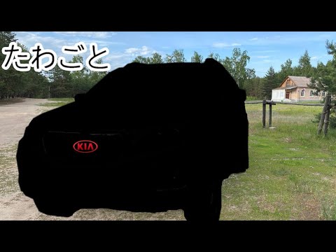 Видео: 7-МИ МЕСТНЫЙ КОРЕЕЦ ПРЯМИКОМ ИЗ КОРЕИ!