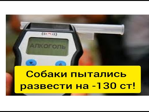 Видео: Полицейские деятели пытались развести водителя на пьянку
