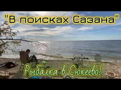 Видео: В поисках Сазана | Рыбалка в живописных берегах Сюкеево. Татарстан