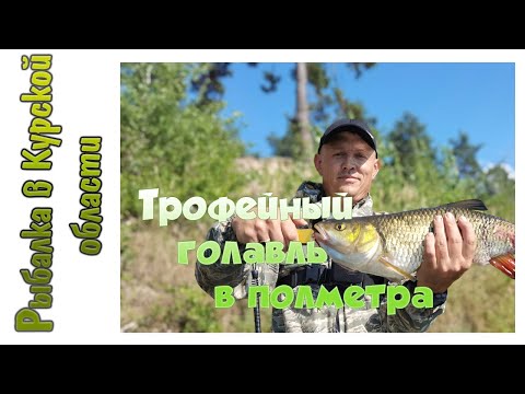 Видео: Трофейный голавль в полметра.  Жена магнитит рыбу