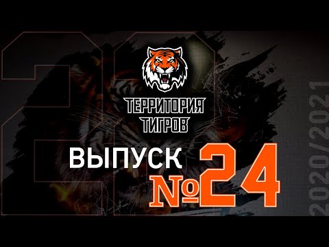 Видео: Территория тигров: выпуск №24