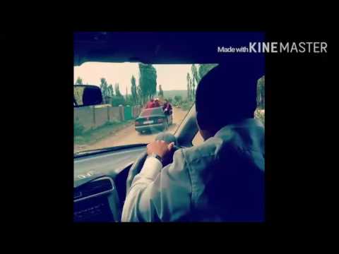 Видео: 1999 жылкылардын катаниясы