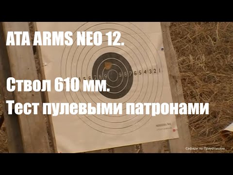 Видео: Ружье АТА НЕО 12. Стреляю пулями со ствола 610мм.