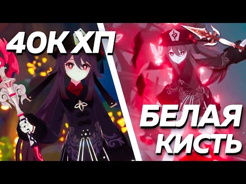 Видео: Самые ТУПЫЕ билды на Ху Тао | Genshin impact