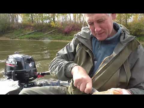 Видео: 2025 Сосьва, Романово, сентябрь 2025