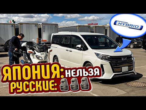 Видео: первый ГИБРИД после введения ЗАПРЕТА | TOYOTA NOAH HYBRID 2020