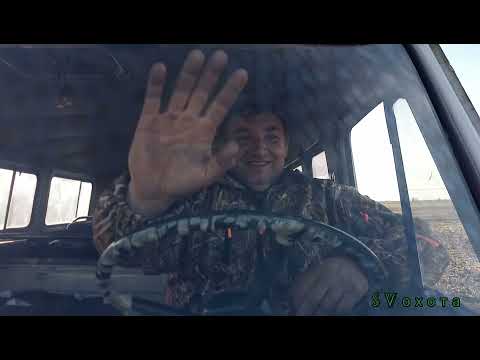 Видео: Охота в Рубановке 07.11. 2021