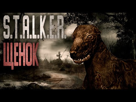 Видео: S.T.A.L.K.E.R. ЩЕНОК. Фантастика. Мистика. Страшные истории на ночь.