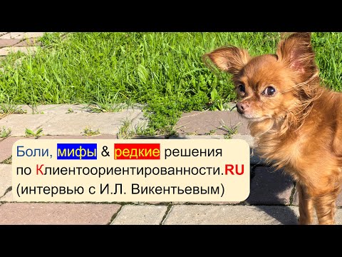 Видео: Боли, мифы&редкие решения по Клиентоориентированности.RU (полная версия интервью с И.Л. Викентьевым)