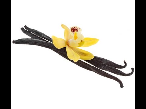 Видео: Какво е Бурбонска ванилия на шушулки и използване