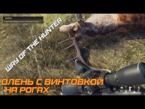 Видео: Way of the Hunter / Благородный Олень с винтовкой на рогах