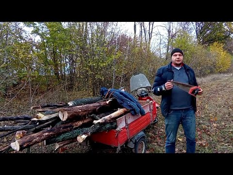 Видео: ЕДУ ЗА ДРОВАМИ! 