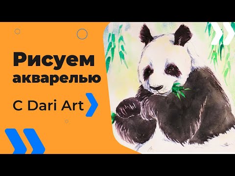 Видео: Как нарисовать панду акварелью #Dari_Art #рисоватьМОЖЕТкаждый