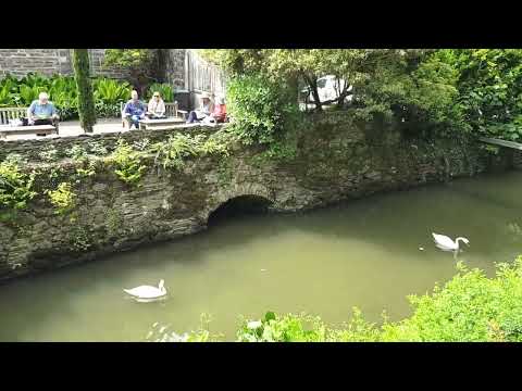 Видео: 605. ЗАХВАТИЛО ДУХ ОТ УВИДЕННОГО! ВСЕМ РЕКОМЕНДУЮ!