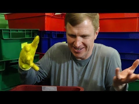 Видео: АТ216 черви Старатель с чего начать. Часть №1