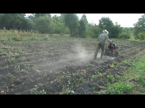 Видео: Деревенские зарисовки 2020  Часть 3