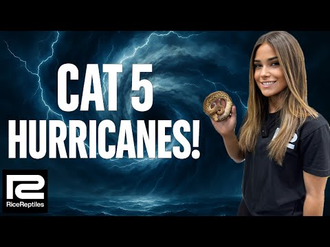 Видео: Ураганы 5 категории! 🔥🌀