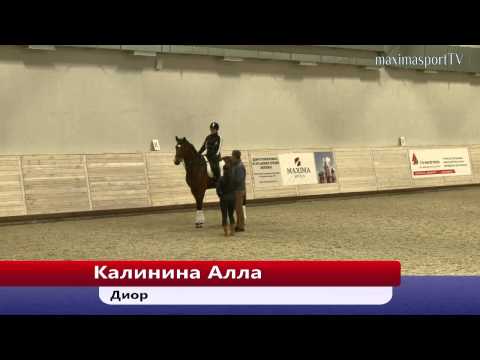 Видео: Мастер-класс «Тренинг молодых лошадей и судейство соревнований для молодых лошадей» 29.04.15 - 3