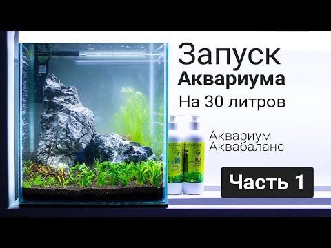 Видео: Запускаем Аквариум куб на 30 литров на Аквабаланс. (Часть 1)