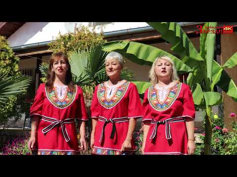 Видео: Дядо на баба думаше - Женска фолклорна група с.Стрелец