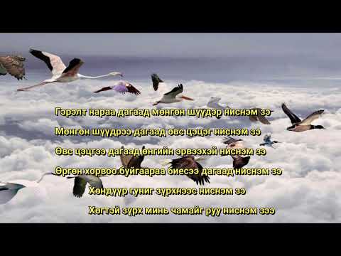 Видео: Ниснэмзээ