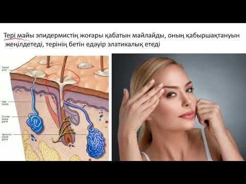 Видео: 8-сынып.§29.Терінің құрылысы мен қызметі,оның маңызы