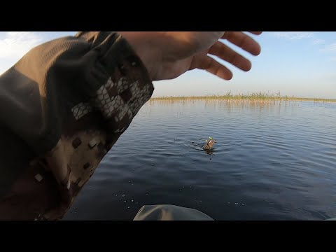 Видео: 01.06.2022. Шапсугское водохранилище. Хороший клёв щуки в первый день лета. Трофей был, но не взят..
