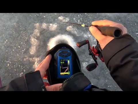 Видео: Поклевки ОДНА ЗА ОДНОЙ КРУПНЫМ ПЛАНОМ. Рыбалка 2025 с ПРАКТИК 8.#рыбалка #fishing #практик #судак