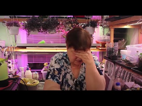 Видео: Когда я это увидела, то потеряла дар речи...