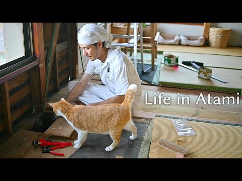 Видео: #120 Счастливый час с кошками | Самодельное укрепление для студии в старом доме
