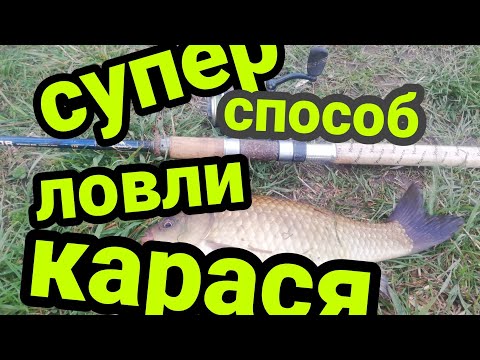 Видео: Тактика Ловли карася на поплапоппер! Супер! Рыбалка интереснее в 100 раз! Рекомендую!