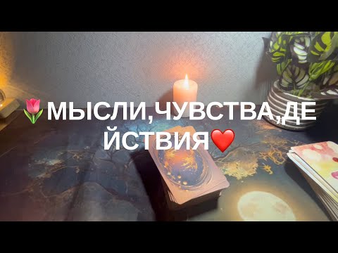 Видео: 28 октября 2025 г.