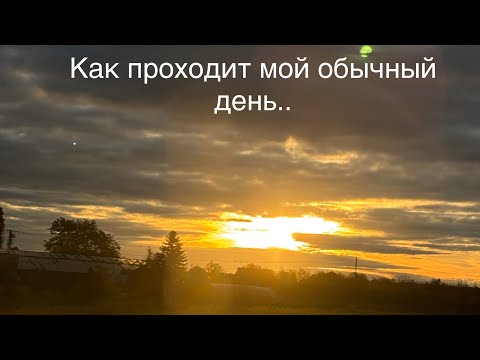 Видео: Как проходит мой день 