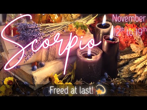 Видео: Скорпион: Вы избавляетесь от ложных историй 🐦‍🔥Теперь вы ЗНАЕТЕ, кто ВЫ💫~ Таро Скорпиона на ноябр...