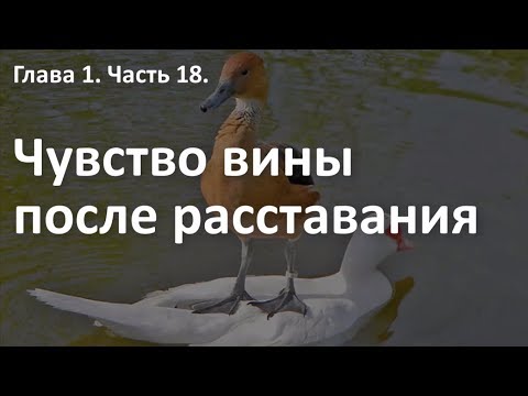 Видео: ЧУВСТВО ВИНЫ после расставания. Кому это выгодно!? Курс "Выход из расставания". Алексей Яровой