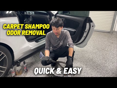 Видео: Как вымыть ковер шампунем и удалить запах за 3 простых шага — Детейлинг без ограничений