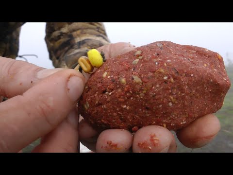 Видео: МАКУШАТНИК С ПОП-АПОМ. УРОВЕНЬ ВОДЫ  СЫГРАЛ ЗЛУЮ ШУТКУ #макушатник #жмыховка #сазан #карп #амур