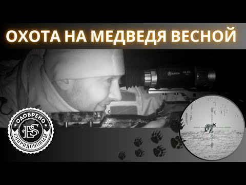 Видео: Одобрено Спиридоновым: охота на медведя весной