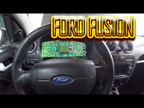 Видео: Когда любопытство сыграло злую шутку