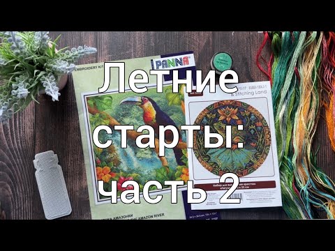 Видео: Летние старты: часть 2