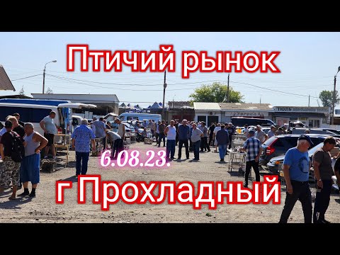 Видео: Голуби цены Птичий рынок г Прохладный.