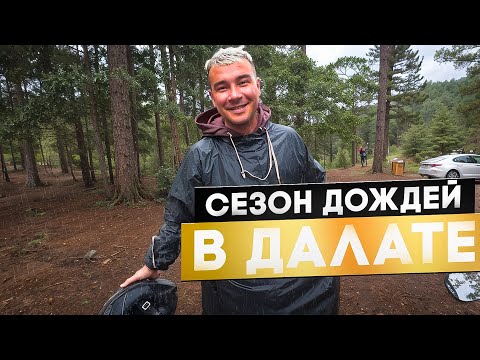 Видео: Как мы отдыхаем в Далате / Муниципальная Баня / Нашли лучший отель / Альпийские горки / Вьетнам