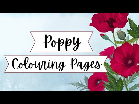 Видео: Раскраски с маками для раскрашивания ко Дню памяти